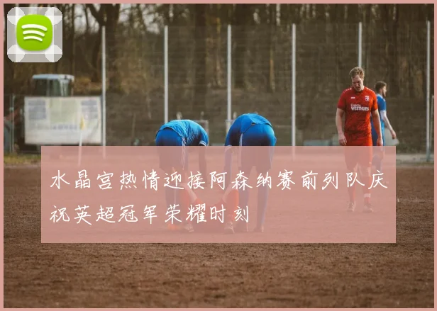 水晶宫热情迎接阿森纳赛前列队庆祝英超冠军荣耀时刻